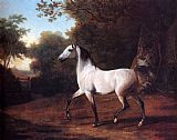 Jacques Laurent Agasse A Grey Arab Stallion In A Wooded Landscape painting